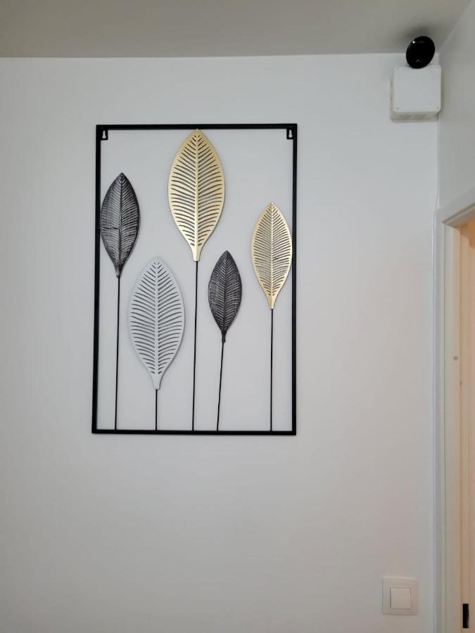 Boissy Gare Rer A Appartement 1 A 3 Chambres Au Choix ภายนอก รูปภาพ